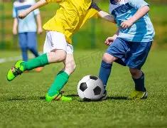 张柏芝透露,儿子倾心女,寻求指导恋,开云体育,开云体育官网,开云体育app,开云体育平台,KAIYUN,SPORTS,kaiyun登录入口