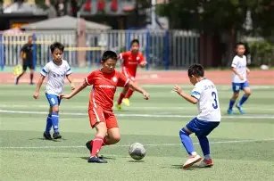 开云体育,资讯,开云体育官网,开云体育,开云体育官网,开云体育app,开云体育平台,KAIYUN,SPORTS,kaiyun登录入口