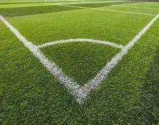 开云体育,资讯,开云体育官网,开云体育,开云体育官网,开云体育app,开云体育平台,KAIYUN,SPORTS,kaiyun登录入口