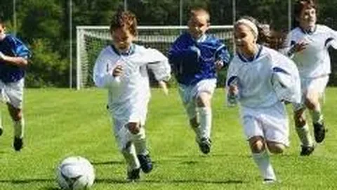 开云体育 产品 105141 sqy