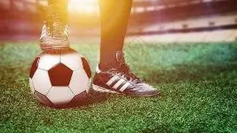 开云体育 资讯 124601 ayc