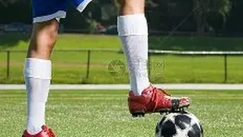 开云体育 产品 125639 seo