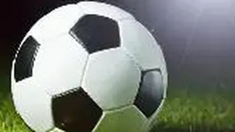 甘肃中药材远销至18个国家及地区